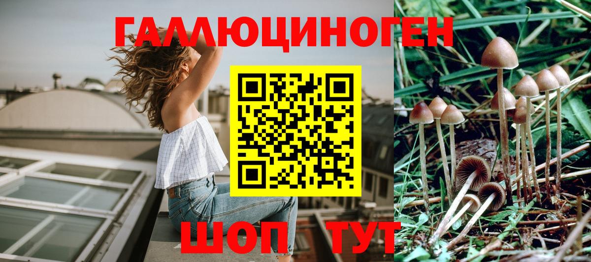 Владивосток  Галлюциногенные грибы мицелий  Вход с VPN 