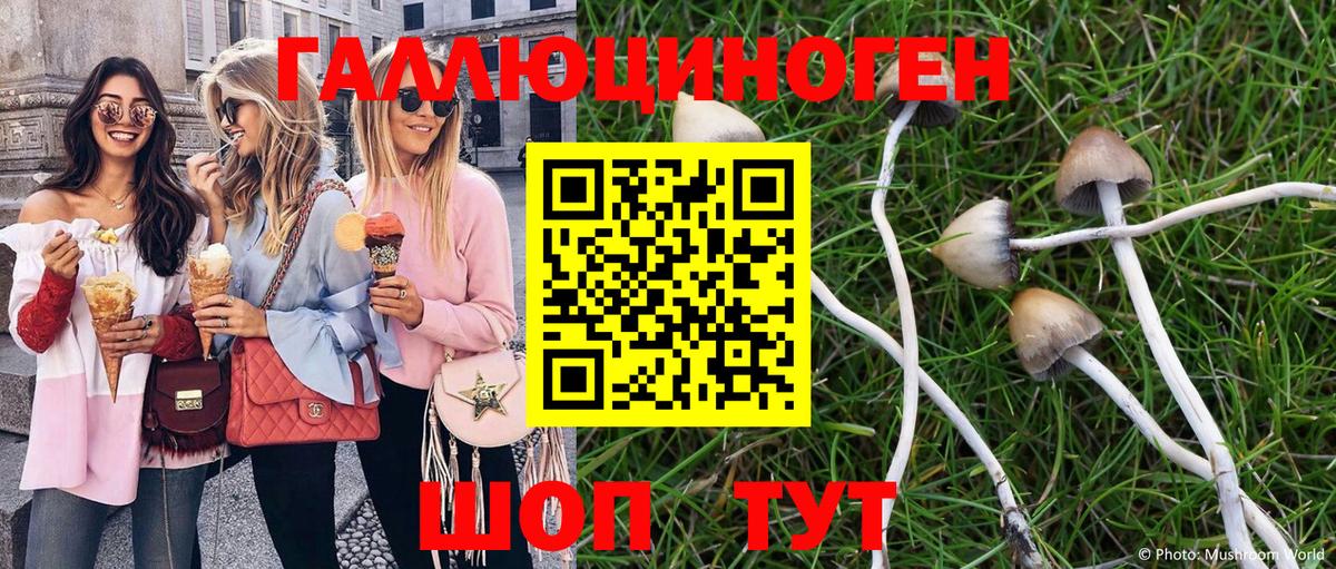 Псилоцибиновые грибы мухоморы Владивосток