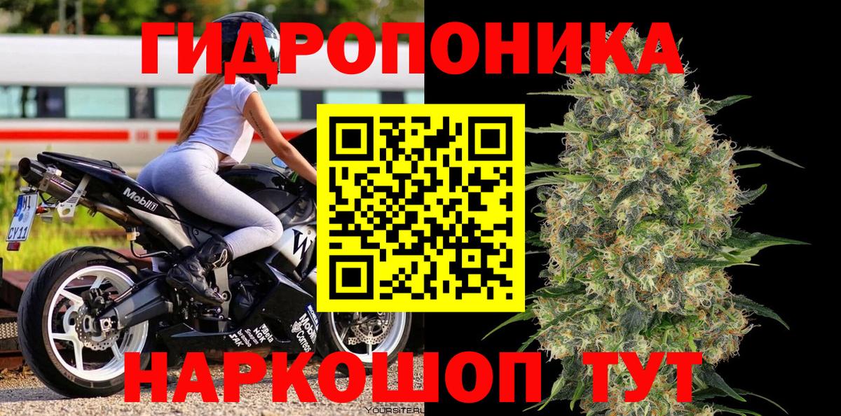 Канабис конопля  Шишки марихуана White Widow  Владивосток  Вход с VPN  Конопля индика  Канабис гибрид 