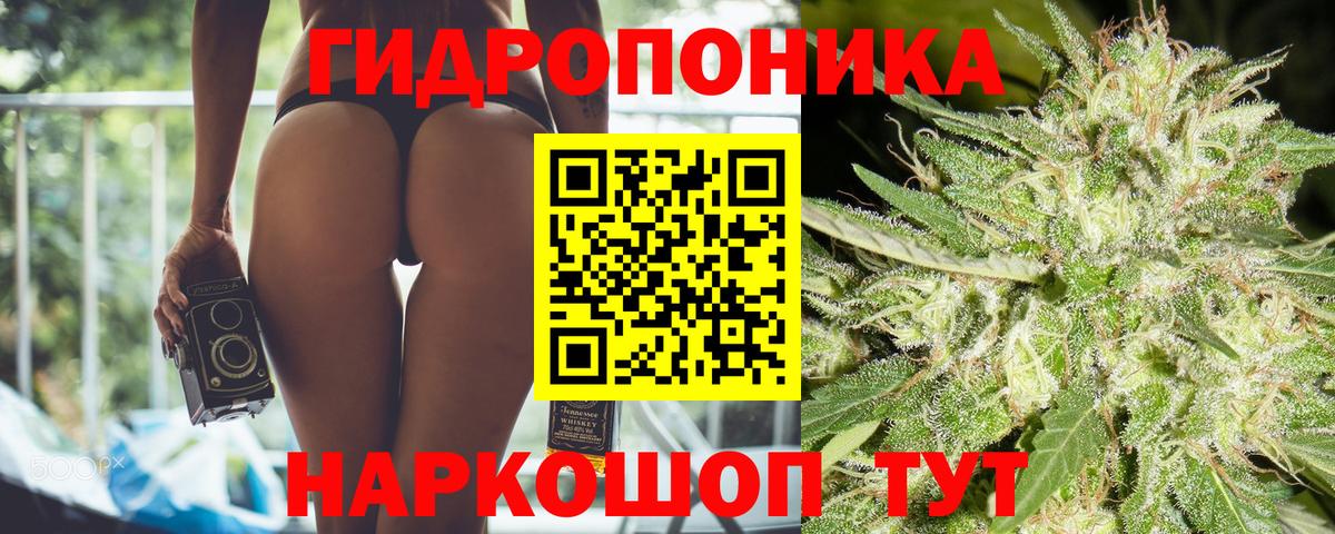 Бошки марихуана конопля Владивосток